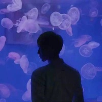 磁贴老玩家